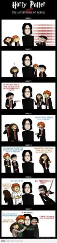 Severus Snape Images The Seven Stages Of Denial Hd Wallpaper And