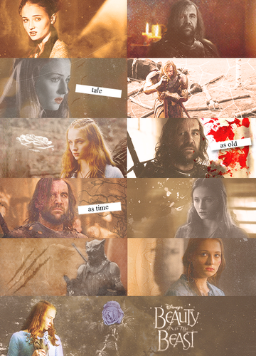  AU meme || Sansa Stark and Sandor Clegane as the Beauty and the Beast