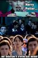 hunger potter - the-hunger-games photo