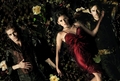 trio amoroso forever  - the-vampire-diaries photo