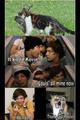 1D being 1D - one-direction photo
