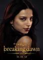 BD part 2 character poster-Tia(Egyptian coven) - twilight-series photo