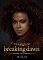 BD part 2 character poster - twilight-series photo