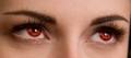 Bella's red newborn vampire eyes - twilight-series photo