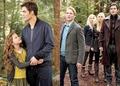 Cullens&Denalis - twilight-series photo