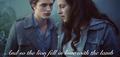 Edward and Bella,Twilight - twilight-series photo
