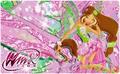 Flora: Harmonix & Sirenix ~ Wallpaper - the-winx-club fan art