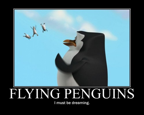  Flying penguins?