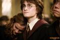 Goblet of Fire - harry-potter photo