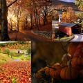 Lovely Autumn - autumn photo