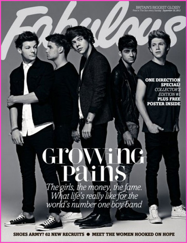 One-Direction-Fabulous-Magazine-Cove