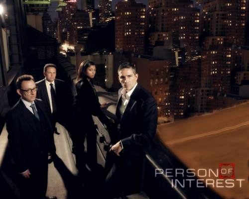 Person Of Interest Full Cast