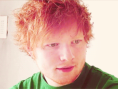  THINGS I l’amour ABOUT ED: the little nose/face rubbing moments