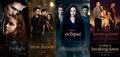 Twilight saga posters - twilight-series photo