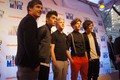 Us tour  - one-direction photo