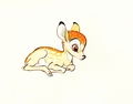 Walt Disney Sketches - Bambi - walt-disney-characters photo