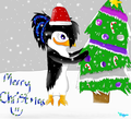 Xmas pic. (Remake) :P - fans-of-pom photo