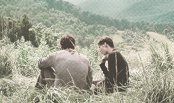 katniss and gale