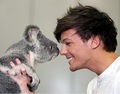 koala and louis  - one-direction photo