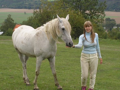  Busty girl and cavalos