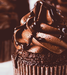 Chocolate cupcakes - random icon