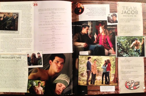  Complete scans of the twilight saga