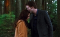 Countdown to forever:New Moon flashback - twilight-series photo