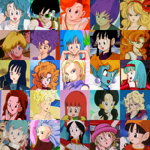 Dragon Ball Ladies (Collage)