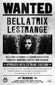 HBC rules;) - bellatrix-lestrange photo