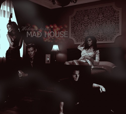 Mad house