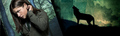 Maddy Smith banner - wolfblood photo