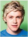 niall horan, the official annual - 2012 - one-direction photo