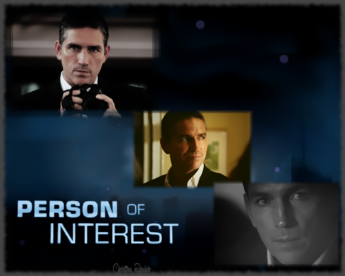  Person Of Interest (Reeese)