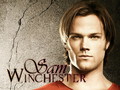 Sam Winchester - supernatural wallpaper