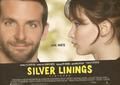 Silver Linings Playbook - jennifer-lawrence photo