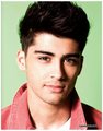 zayn malik, the official annual - 2012 - one-direction photo