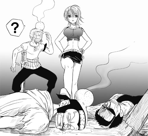 Zoro Nami One Piece