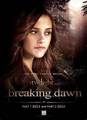 breaking dawn :)) - twilight-series photo