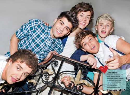  one direction,The Official Annual - 2012