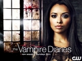 season 4 promo wallpaper - the-vampire-diaries photo