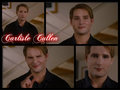 Carlisle Cullen - twilighters fan art
