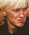 Draco♥ - draco-malfoy photo