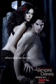 Fan-made poster - the-vampire-diaries-tv-show photo
