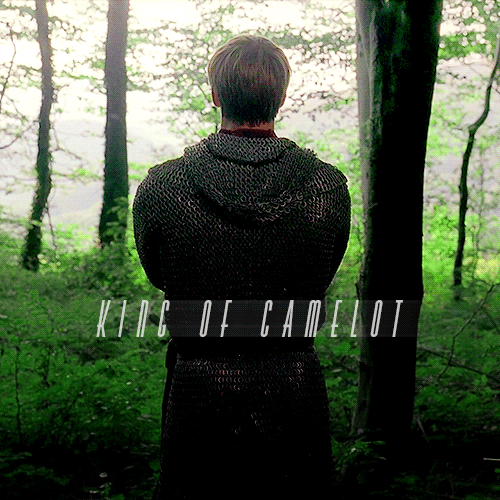  King of Camelot