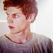 Kit - american-horror-story icon