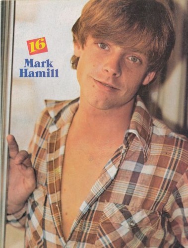 Mark in The Partridge Family