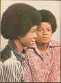 Michael and Jermaine - michael-jackson photo