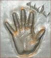 Michaels magical hands ♥ - michael-jackson photo