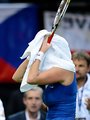 Petra Kvitova breast Fed Cup - tennis photo