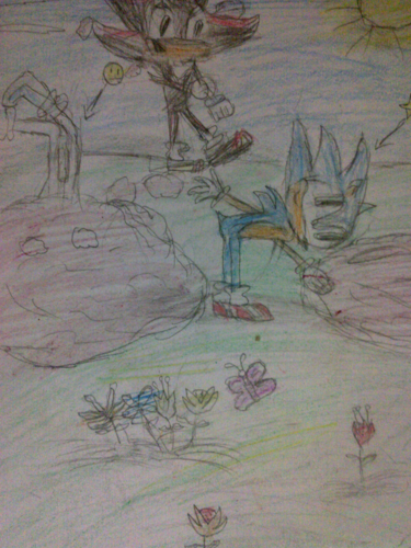  Sonic Shadow and silver digging